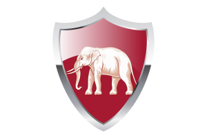 Siamese sovereignty Flag with Medieval Heater Shield flag