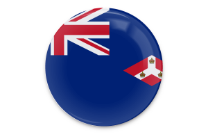 Arte Vectorial de la Bandera de los Asentamientos de los Estrechos flag