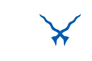 Sultanate of Mataram Empire flag