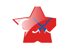 Sultanate of Mataram Flag Star Icon flag