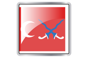 Sultanate of Mataram Flag Square icon flag