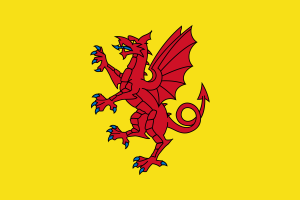 Flag of Somerset flag