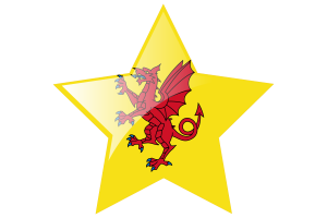 Somerset Flag Star Icon flag