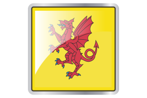 Somerset Flag Square icon flag