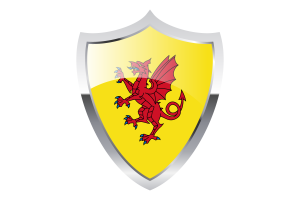 Somerset Flag with Medieval Heater Shield flag