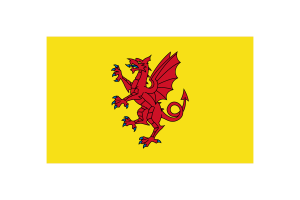 Somerset Flag Vector Illustration flag