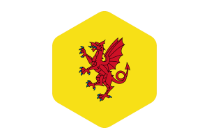 Somerset Flag Rounded Hexagon Shape flag