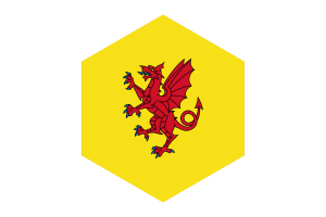 Somerset Flag Hexagon Shape flag