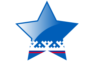 Yamalo-Nenets Flag Star Icon flag