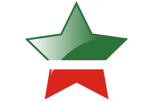 Chechnya Flag Star Icon flag