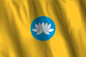 National Flag of Republic of Kalmykia flag