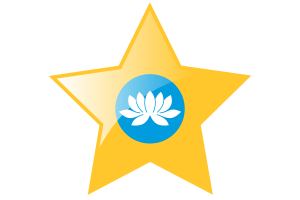 Republic of Kalmykia Flag Star Icon flag