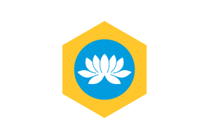 Republic of Kalmykia Flag Hexagon Shape flag