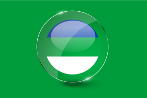 Komi Republic Flag Glossy Round Button flag