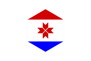 Mordovia Flag Hexagon Shape flag