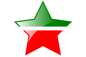 Tatarstan Flag Star Icon flag