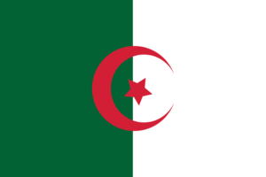 Flag of Algeria flag
