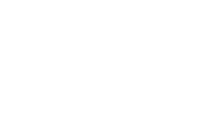 Algeria Flag symbol flag