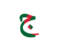 Algiers Algeria Currency icon flag