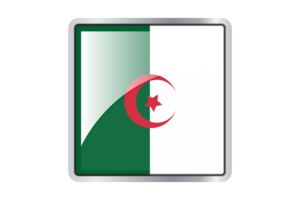 Algeria Flag Square icon flag