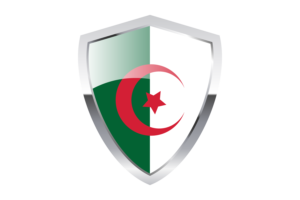 Algeria Flag with Pointed Triangular Shield flag
