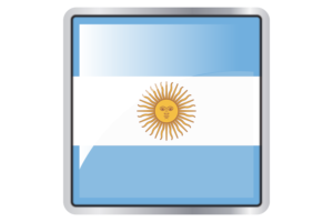 Argentina Flag Square icon flag