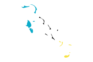 Bahamas Map with Flag flag
