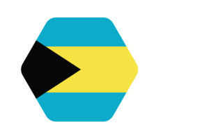 Bahamas Flag Vector Illustration flag