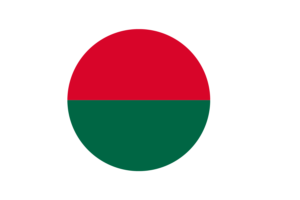 Bangladesh Flag symbol flag