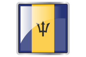 Barbados Flag Square icon flag