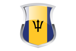 Barbados Pride Flag flag