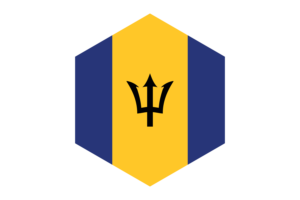 Barbados Flag Hexagon Shape flag