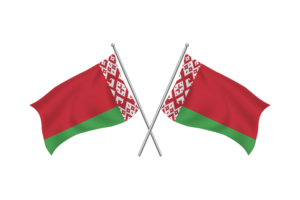 Belarus Waving Friendship Flag flag