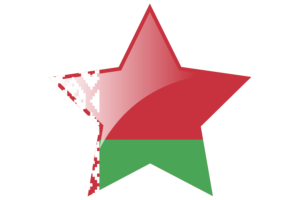 Belarus Flag Star Icon flag