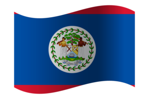 Republic of Belize Flag flag