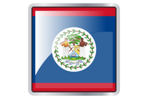 Belize Flag Square icon flag