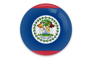 Belize Flag Vector Art flag