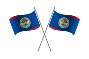 Belize Friendship Flag flag