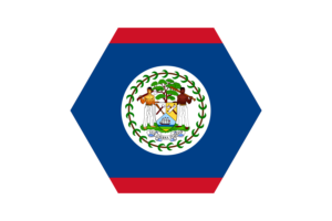Belize Flag Vector Free | SVG and PNG flag