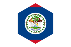 Belize Flag Hexagon Shape flag