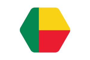 Benin Flag Vector Illustration flag