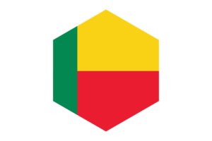 Benin Flag Hexagon Shape flag