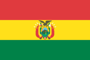 Flag of Bolivian flag