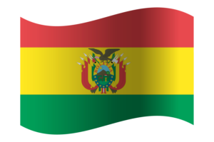 Plurinational State of Bolivia Flag flag