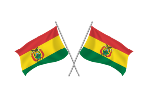 Bolivian Waving Friendship Flag flag