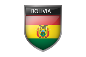 Bolivian Flag flag