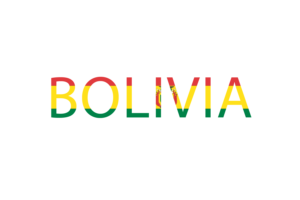 Bolivian Text Art flag