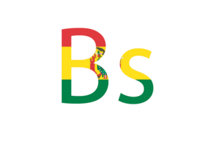 Bolivian Currency icon flag