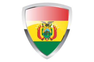 Bolivian Shield Flag flag