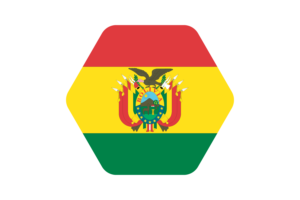 Bolivian Flag Vector Illustration flag